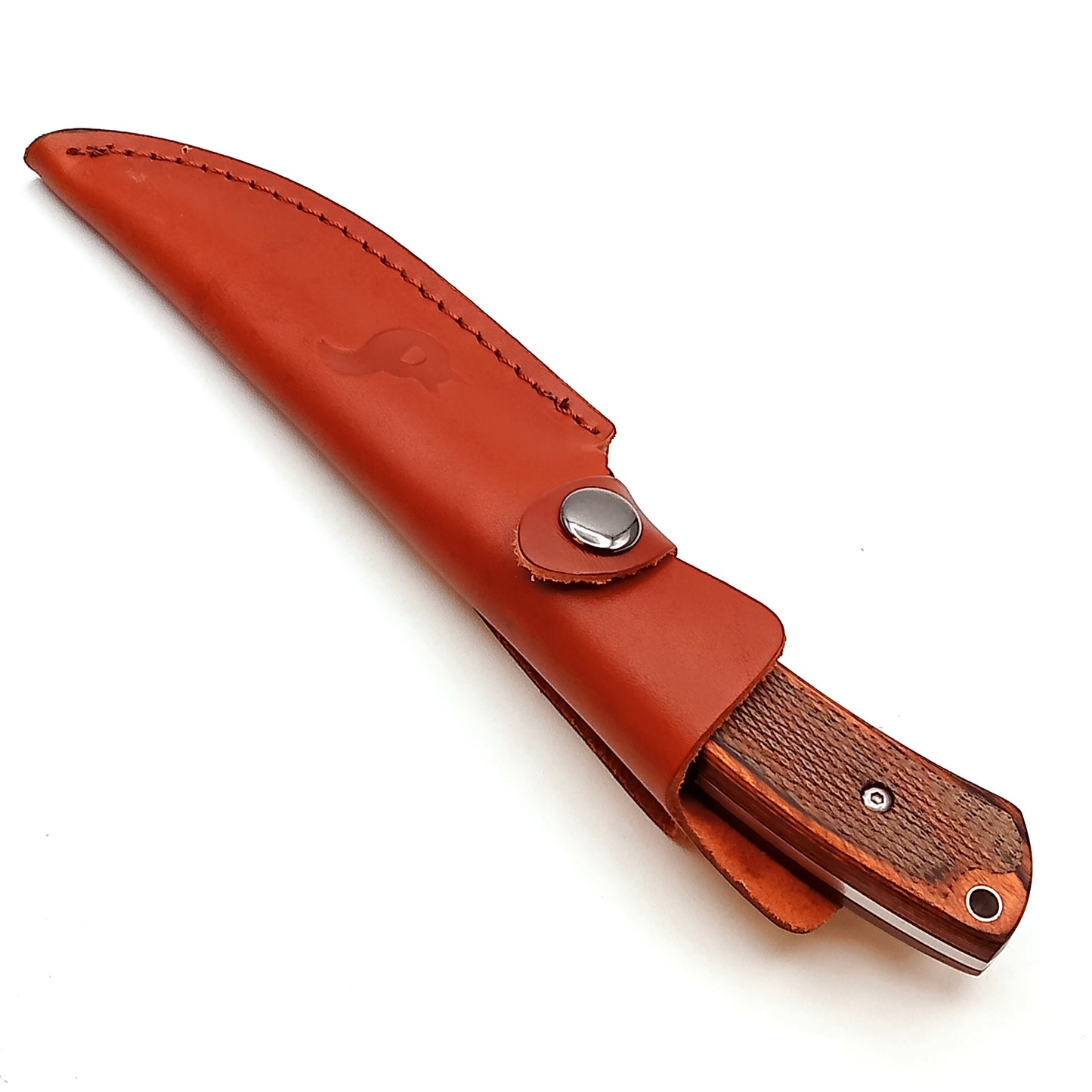BF 741 Companion